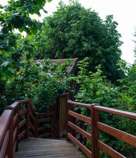 Sirinsulhiye Hotel | Discover The Canyon Kartepe: Pet-Friendly Retreat Awaits