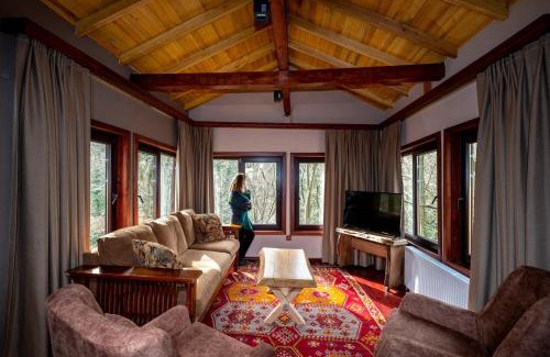Sirinsulhiye Hotel | Discover The Canyon Kartepe: Pet-Friendly Retreat Awaits