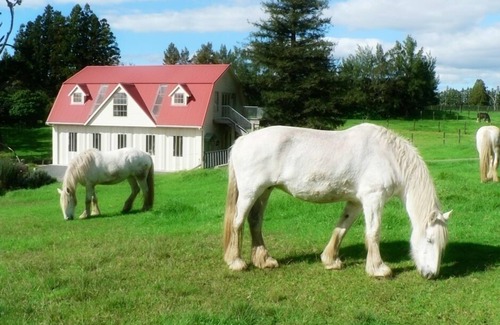 Kerikeri House | Pet-Friendly Bliss at The Carriage House, Bay of Islands
