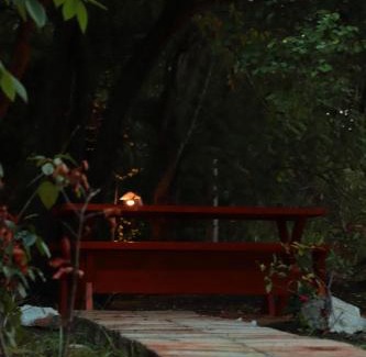 Sigiriya House | Relaxing Retreat at The Cattleya Guest House Sigiriya