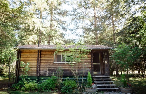 Packwood Cabin | Experience The Cedar Cabin: Secluded Getaway with Spa