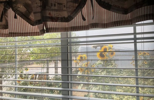 Utah County Cottage | Experience Delight at The Chick Inn Bed Breakfast & Dinner