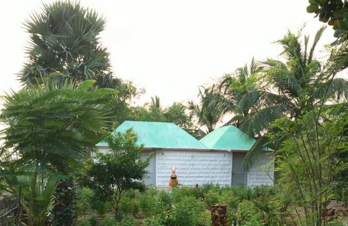 Satapada Resort | Pet-Friendly Retreat at Chilika Island Resort