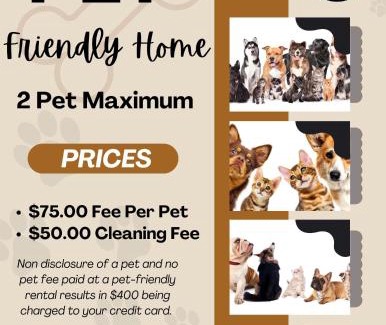 Port Aransas House | The Coast is Clear: Pet-Friendly Paradise with Pool Access