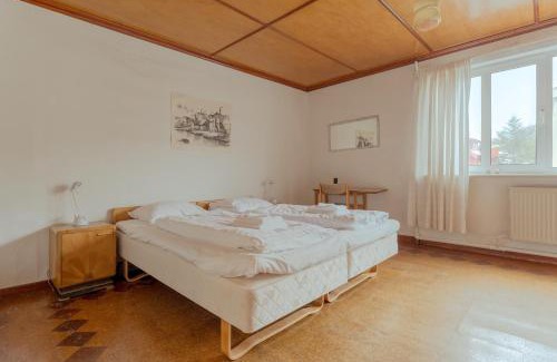 Torshavn Apartment | Cozy Cookie Store Guesthouse with Kitchen Amenities
