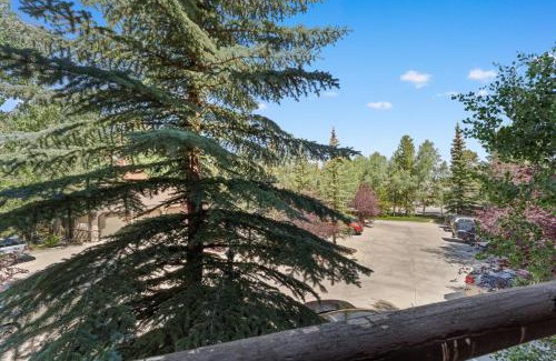 Warrior's Mark Apartment | Experience The Corral at Breckenridge 206S with Hot Tub Access