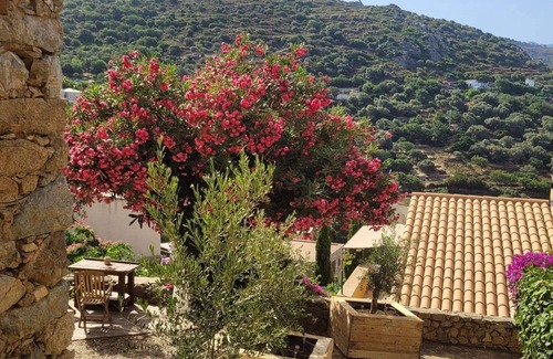 Corbara House | Experience The Cosy Home - Corbara: Spa & Family Friendly