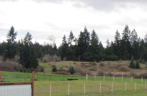 McKenna House | Cozy Cottage at Rusty Bar Ranch – Pet & Child Friendly Stay