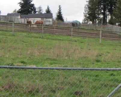 McKenna House | Cozy Cottage at Rusty Bar Ranch – Pet & Child Friendly Stay