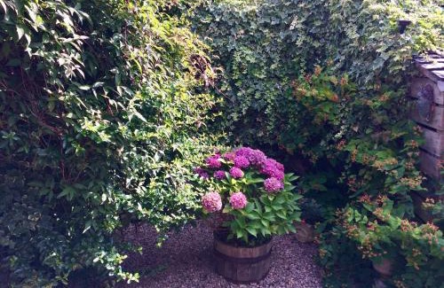 Belford Apartment | Exceptional Comfort at The Cottage - Rated 9.4/10