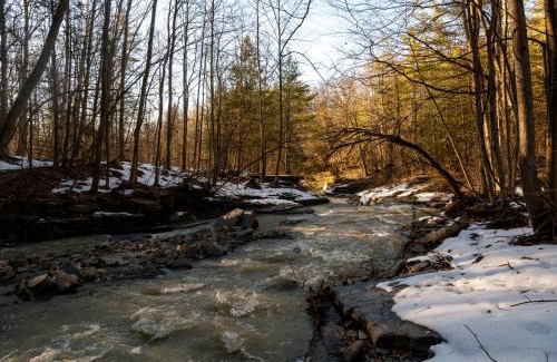 Hector House | Experience Comfort at The Cottagette with Eco-Friendly Amenities