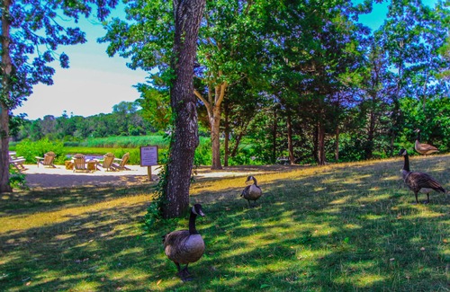 West Yarmouth Resort | Experience The Cove at Yarmouth with Oceanfront Amenities