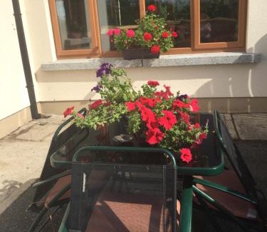 Ballywilliam Bed & Breakfast | Family-Friendly Retreat at The Crossroads B&B - Rated 9/10