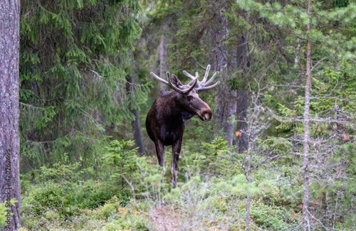 North Pole House | Pet-Friendly Getaway at The Cub Cottage in North Pole AK