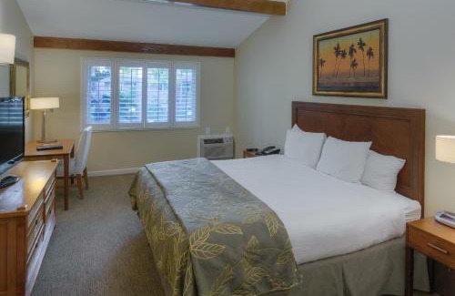 San Diego Hotel | Oceanfront Bliss at The Dana on Mission Bay Awaiting You
