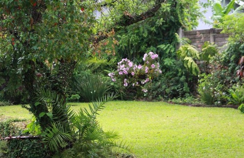 Mutare House | Discover The Den - Cozy 3 Bedroom House with Pool