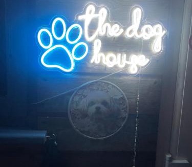 Grimsby House | The Dog House