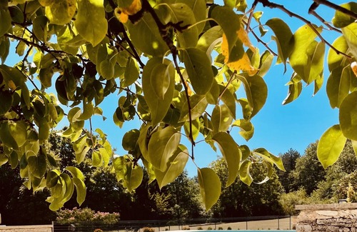 Sainte-Foy-de-Longas Cottage | Exceptional Domaine de Camberoux: Pet-Friendly Paradise