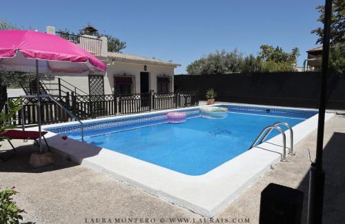 Cullar Vega House | Dreamy Oceanfront Room with Pool & Pet-Friendly Perks