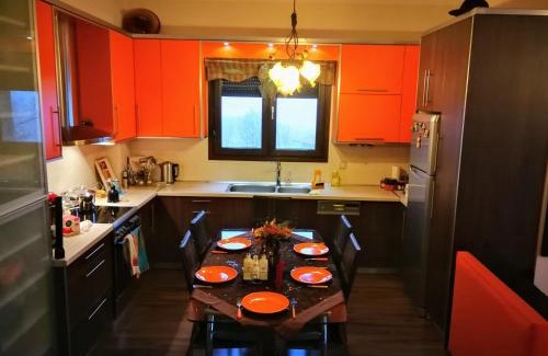 Kastoria Apartment | Dreamhouse Kastoria: Ideal for Families and Pet Lovers