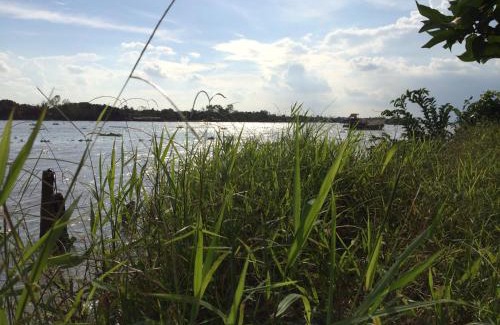Cai Be Cabin | Pet-Friendly Retreat at The Durian Lodge on Mekong River