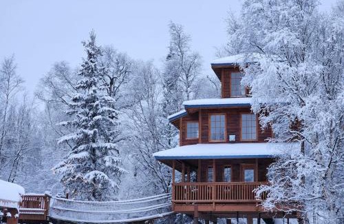 Palmer House | Experience The Eagle's Nest Treehouse Cabin - Guest Rated 10/10