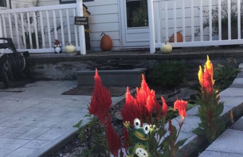 Norwich Bed & Breakfast | Discover The Enchanted Suite: Family-Friendly Retreat