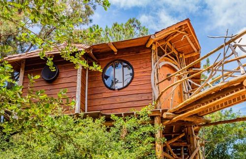 Paige Cottage | Magical Hobbit's Nest Treehouse: A Perfect Family Retreat