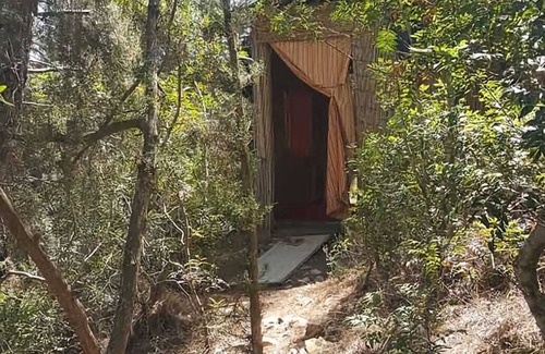 Santa Gertrudis Cabin | Explore The Bamboo House: Spa Retreat in the Forest