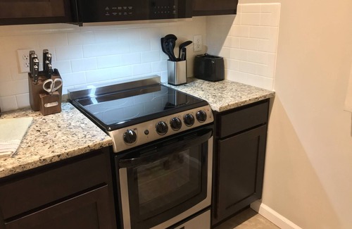 Middleburg Apartment | Pet-Friendly King Studio at The Escape with Kitchen & Porch