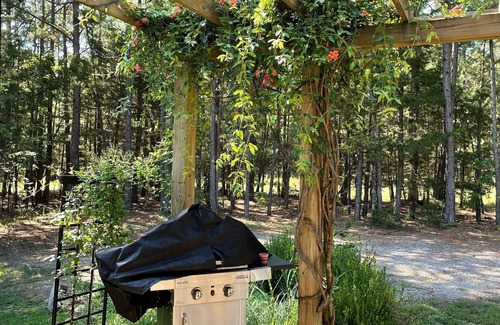 Eureka Springs House | Experience The Fairy Hut @ Iris Hill Glamping - 10/10 Rated