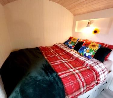 Curraghboy Other | Family-Friendly Feathers Shepherds Hut with Kitchen Access