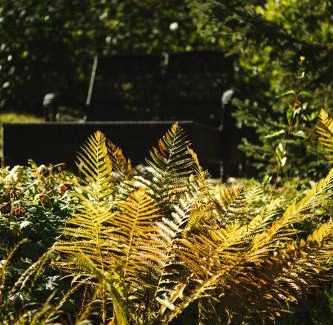 Chestertown Bed & Breakfast | Exceptional Ocean View Retreat at The Fern Lodge