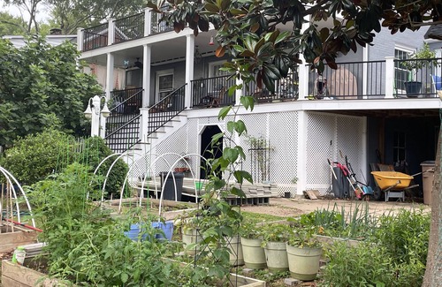 Shelby House | The Fig Tree Garden House: A Perfect Parkside Retreat