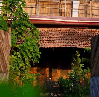 Tala House | Pet-Friendly Retreat at The Flying Squirrel Bandhavgarh