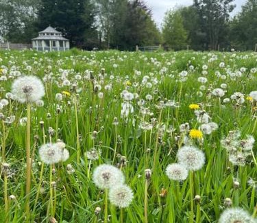 Stratton Strawless Apartment | Unique Glamping Experience at The Folly with Hot Tub