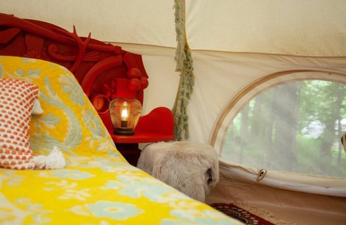 Roxbury RV Rental | Experience The Forest Belle Glamping in the Catskills
