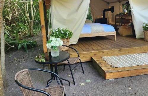 Tsawwassen Other | Family-Friendly Stays at The Fox Den – Pet Welcoming Retreat