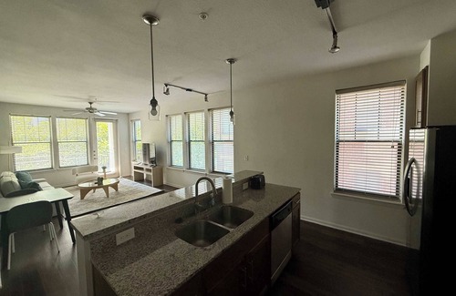 Franklin Apartment | The Franklin II Vibe 8773