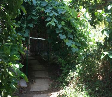 Kfar Yona House | Relaxing Retreat at The Fruit Garden Guesthouse with Pool