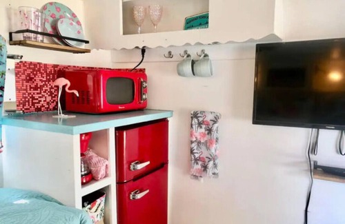 Weeki Wachee Gardens Apartment | Experience The Funky Flamingo - Family-Friendly Retreat