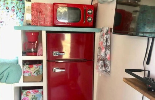 Weeki Wachee Gardens Apartment | Experience The Funky Flamingo - Family-Friendly Retreat