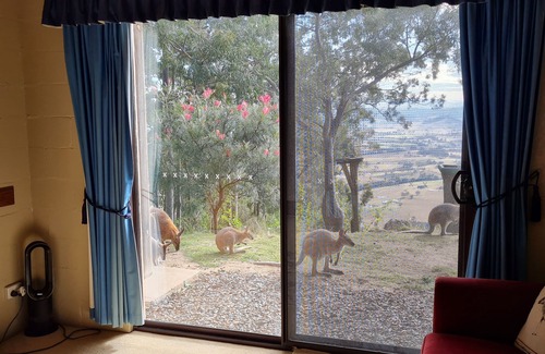 Vacy Cabin | Eco-Friendly Retreat at The Gallery - Guest Rated 9.8/10
