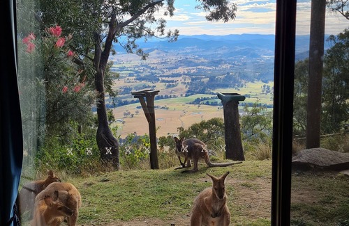 Vacy Cabin | Eco-Friendly Retreat at The Gallery - Guest Rated 9.8/10
