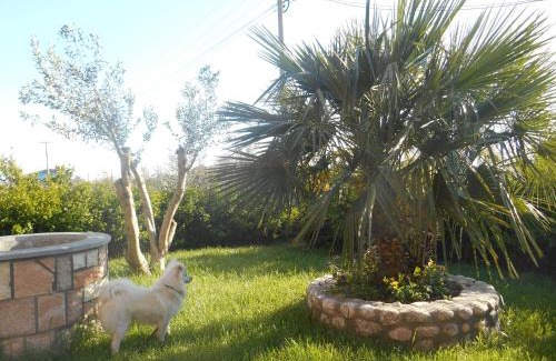 Divjake Apartment | Idyllic Garden Guest House: Rated 9.6, Family-Friendly Stay