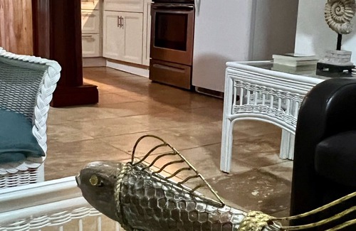 Port Howe House | Oceanfront Gate House with Private Pool and Ocean View