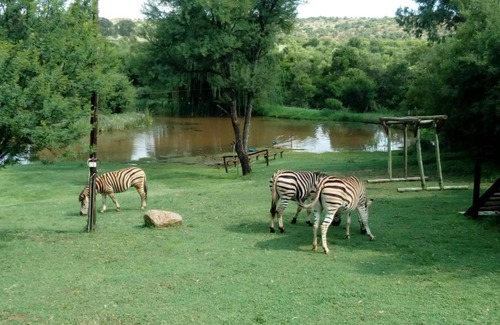 Potchefstroom Bed & Breakfast | Budget-Friendly Comfort at The Gecko Inn with Pool & Breakfast