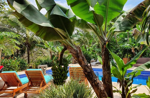 Atenas House | Discover Atenas: Exquisite Home Surrounded by Tropical Bliss