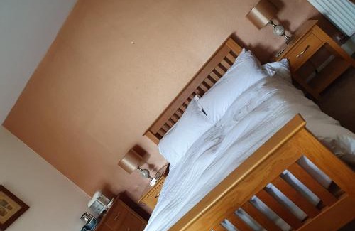 Ashley Hotel | Pet-Friendly Retreat at The George At Ashley - 9.1/10 Rated