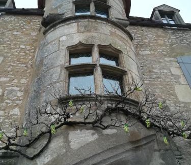 Vezelay Apartment | Discover The Good Studio Vezelay: Family-Friendly Retreat